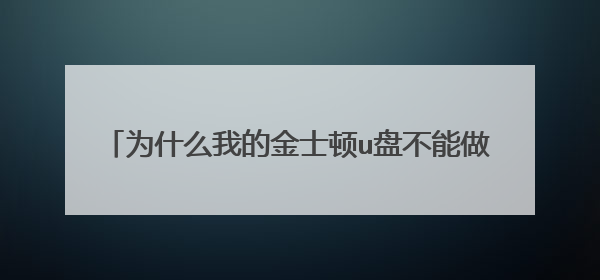 为什么我的金士顿u盘不能做成exfat格式的PE?