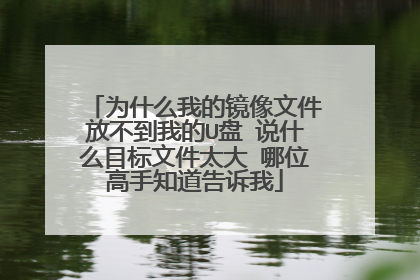 为什么我的镜像文件放不到我的U盘 说什么目标文件太大 哪位高手知道告诉我