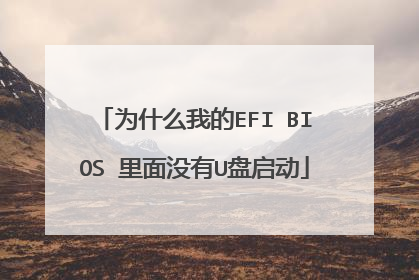 为什么我的EFI BIOS 里面没有U盘启动