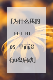 为什么我的EFI BIOS 里面没有U盘启动