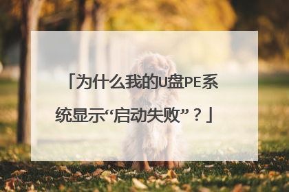为什么我的U盘PE系统显示“启动失败”？