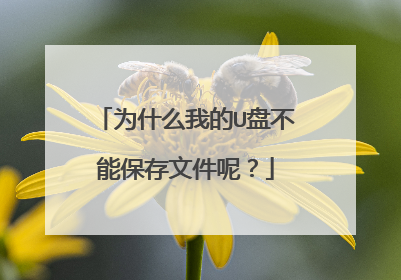为什么我的U盘不能保存文件呢?