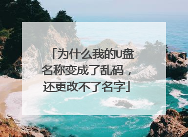 为什么我的U盘名称变成了乱码,还更改不了名字
