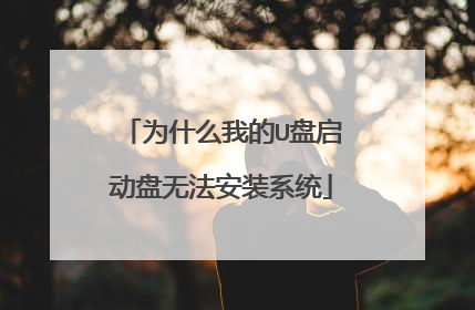 为什么我的U盘启动盘无法安装系统