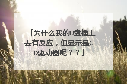 为什么我的U盘插上去有反应,但显示是CD驱动器呢??