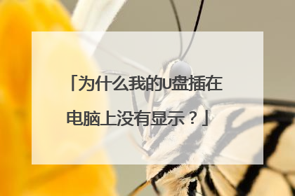 为什么我的U盘插在电脑上没有显示?