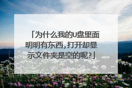 为什么我的U盘里面明明有东西,打开却显示文件夹是空的呢?
