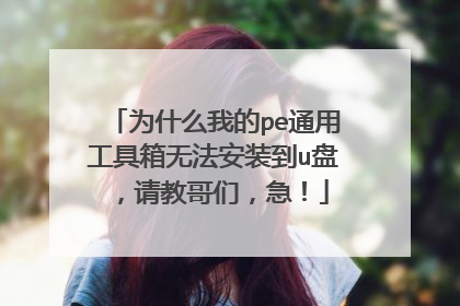 为什么我的pe通用工具箱无法安装到u盘,请教哥们,急!