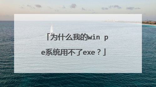 为什么我的win pe系统用不了exe？