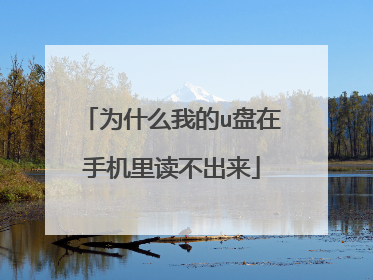 为什么我的u盘在手机里读不出来