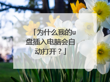 为什么我的u盘插入电脑会自动打开?