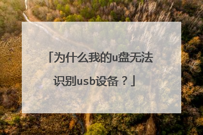 为什么我的u盘无法识别usb设备？