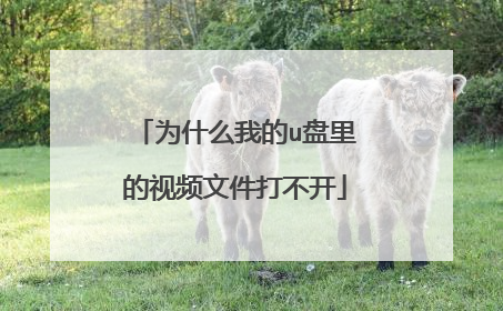 为什么我的u盘里的视频文件打不开