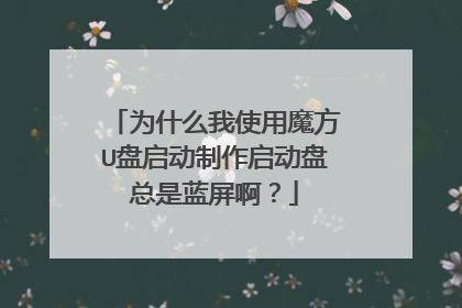 为什么我使用魔方U盘启动制作启动盘总是蓝屏啊?