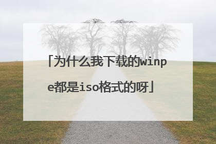 为什么我下载的winpe都是iso格式的呀