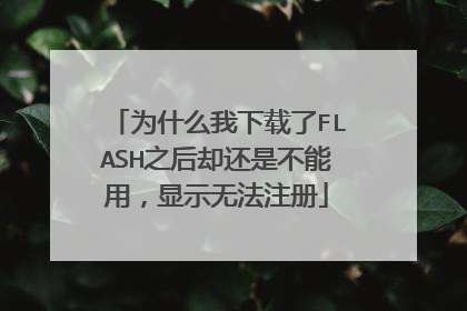 为什么我下载了FLASH之后却还是不能用，显示无法注册