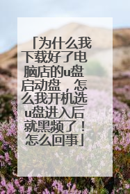 为什么我下载好了电脑店的u盘启动盘,怎么我开机选u盘进入后就黑频了!怎么回事