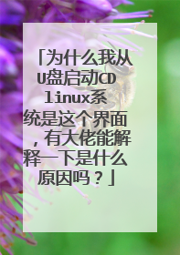 为什么我从U盘启动CDlinux系统是这个界面，有大佬能解释一下是什么原因吗？