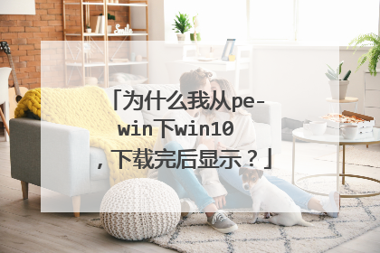 为什么我从pe-win下win10,下载完后显示?