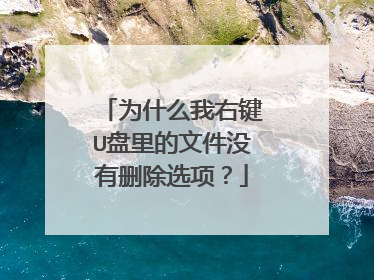 为什么我右键U盘里的文件没有删除选项?
