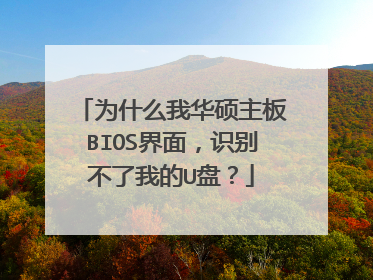 为什么我华硕主板BIOS界面，识别不了我的U盘？