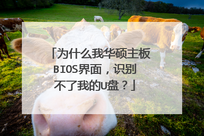 为什么我华硕主板BIOS界面,识别不了我的U盘?