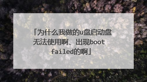 为什么我做的u盘启动盘无法使用啊、出现boot failed的啊