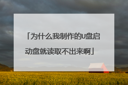 为什么我制作的U盘启动盘就读取不出来啊