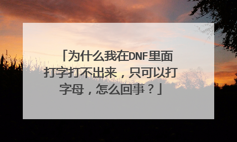 为什么我在DNF里面打字打不出来,只可以打字母,怎么回事?