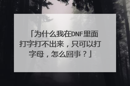为什么我在DNF里面打字打不出来,只可以打字母,怎么回事?