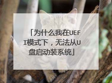 为什么我在UEFI模式下，无法从U盘启动装系统