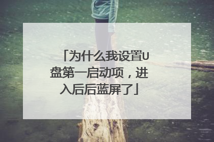 为什么我设置U盘第一启动项,进入后后蓝屏了