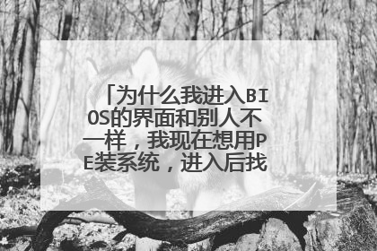 为什么我进入BIOS的界面和别人不一样,我现在想用PE装系统,进入后找不到U盘启动项。
