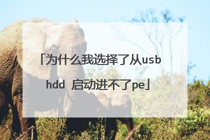 为什么我选择了从usb hdd 启动进不了pe