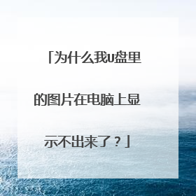 为什么我U盘里的图片在电脑上显示不出来了?