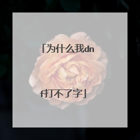 为什么我dnf打不了字