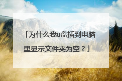 为什么我u盘插到电脑里显示文件夹为空?
