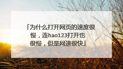 为什么打开网页的速度很慢,连hao123打开也很慢,但是网速很快
