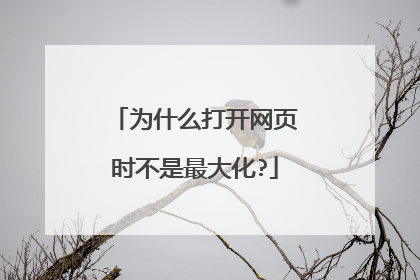 为什么打开网页时不是最大化?