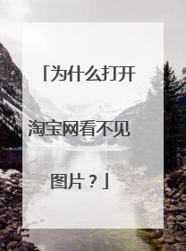 为什么打开淘宝网看不见图片?