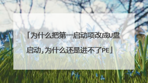 为什么把第一启动项改成U盘启动,为什么还是进不了PE