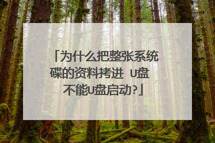 为什么把整张系统碟的资料拷进 U盘 不能U盘启动?