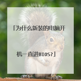 为什么新装的电脑开机一直进BIOS?