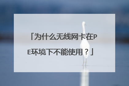 为什么无线网卡在PE环境下不能使用？