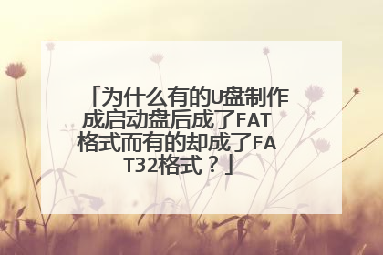 为什么有的U盘制作成启动盘后成了FAT格式而有的却成了FAT32格式?