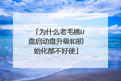为什么老毛桃U盘启动盘升级和初始化都不好使