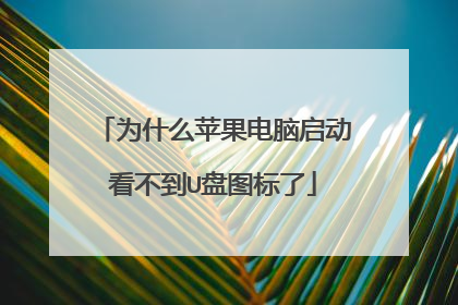 为什么苹果电脑启动看不到U盘图标了