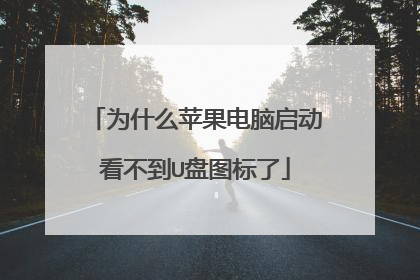 为什么苹果电脑启动看不到U盘图标了