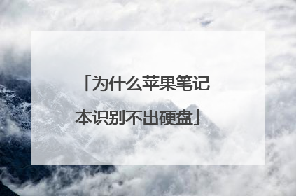 为什么苹果笔记本识别不出硬盘