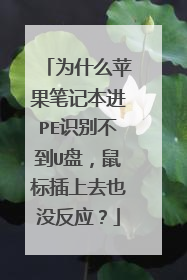 为什么苹果笔记本进PE识别不到U盘,鼠标插上去也没反应?